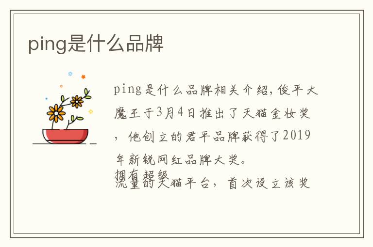 ping是什么品牌