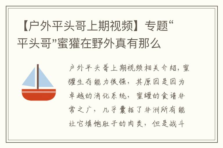 【户外平头哥上期视频】专题“平头哥"蜜獾在野外真有那么强吗？真相在这里-户外动物知识