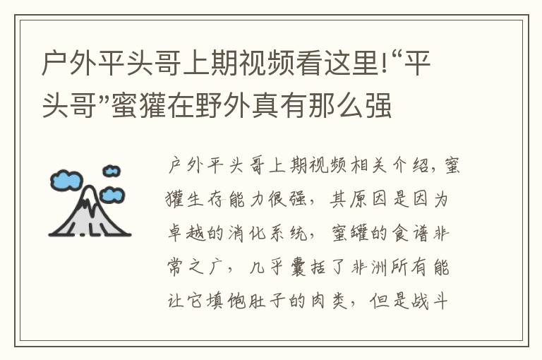 户外平头哥上期视频看这里!“平头哥"蜜獾在野外真有那么强吗？真相在这里-户外动物知识