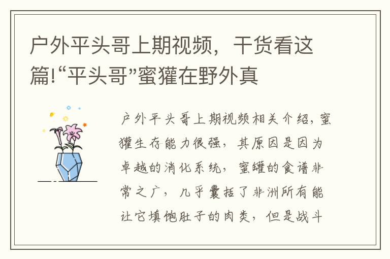 户外平头哥上期视频，干货看这篇!“平头哥"蜜獾在野外真有那么强吗？真相在这里-户外动物知识