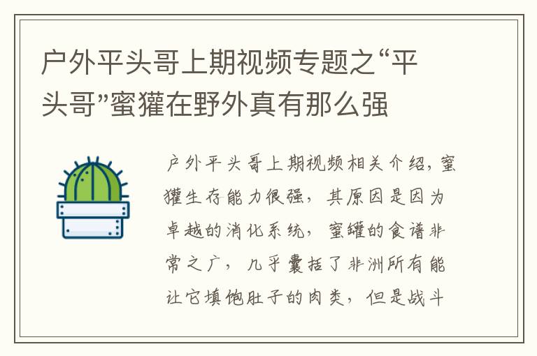 户外平头哥上期视频专题之“平头哥"蜜獾在野外真有那么强吗？真相在这里-户外动物知识