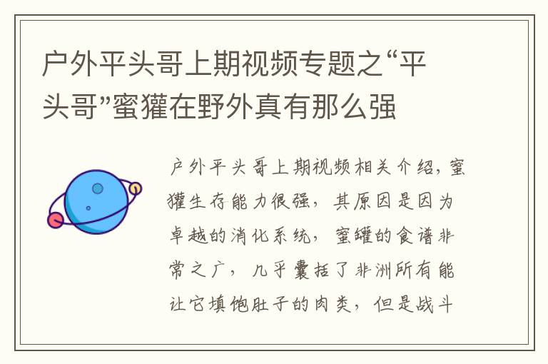 户外平头哥上期视频专题之“平头哥"蜜獾在野外真有那么强吗？真相在这里-户外动物知识