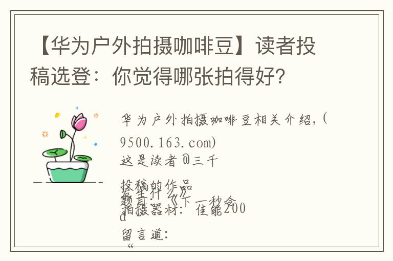 【华为户外拍摄咖啡豆】读者投稿选登：你觉得哪张拍得好？