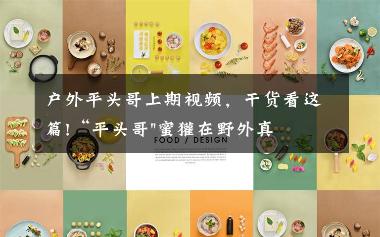 户外平头哥上期视频，干货看这篇!“平头哥"蜜獾在野外真有那么强吗？真相在这里-户外动物知识
