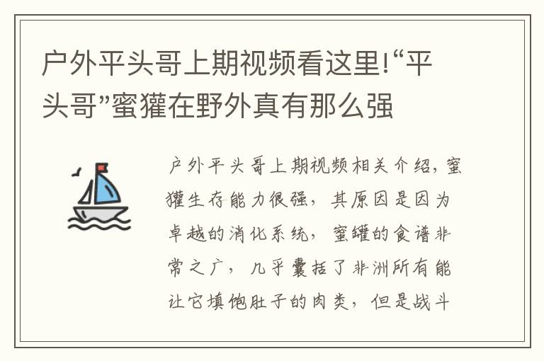 户外平头哥上期视频看这里!“平头哥"蜜獾在野外真有那么强吗？真相在这里-户外动物知识