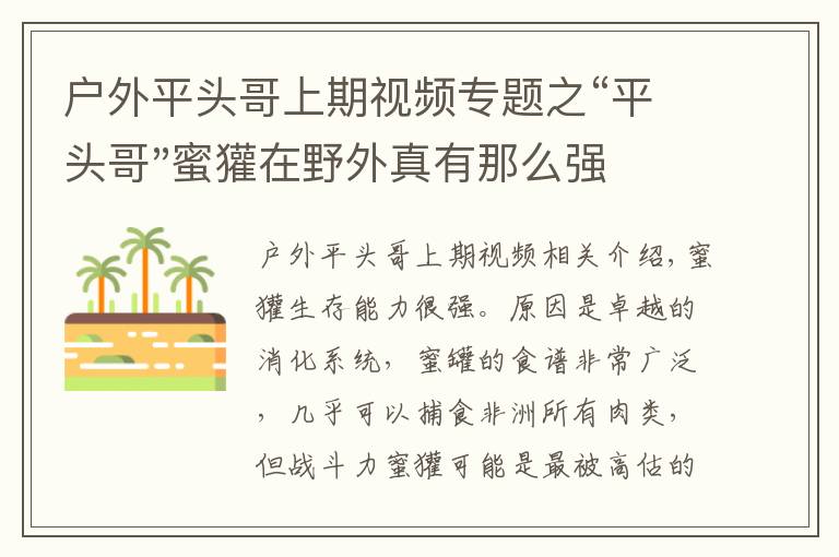 户外平头哥上期视频专题之“平头哥"蜜獾在野外真有那么强吗？真相在这里-户外动物知识