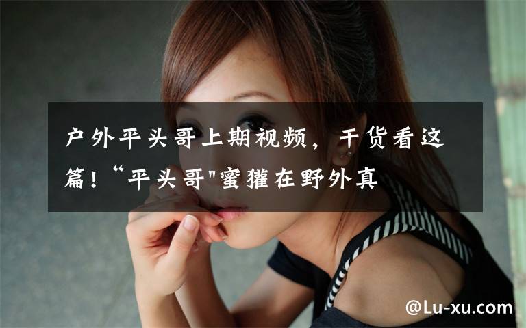 户外平头哥上期视频，干货看这篇!“平头哥"蜜獾在野外真有那么强吗？真相在这里-户外动物知识