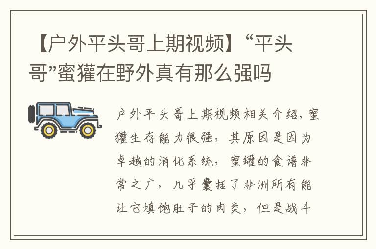 【户外平头哥上期视频】“平头哥"蜜獾在野外真有那么强吗？真相在这里-户外动物知识