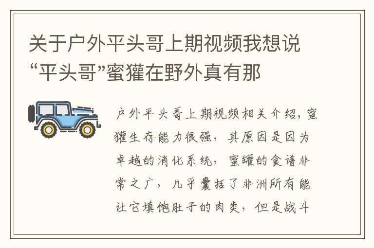 关于户外平头哥上期视频我想说“平头哥"蜜獾在野外真有那么强吗？真相在这里-户外动物知识