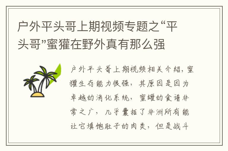 户外平头哥上期视频专题之“平头哥"蜜獾在野外真有那么强吗？真相在这里-户外动物知识