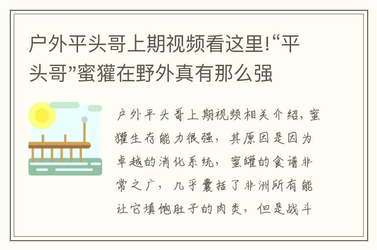 户外平头哥上期视频看这里!“平头哥"蜜獾在野外真有那么强吗？真相在这里-户外动物知识