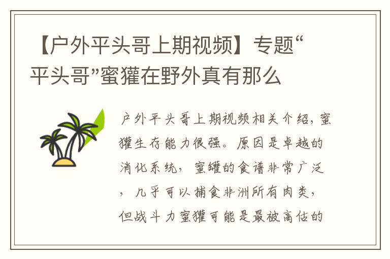 【户外平头哥上期视频】专题“平头哥"蜜獾在野外真有那么强吗？真相在这里-户外动物知识