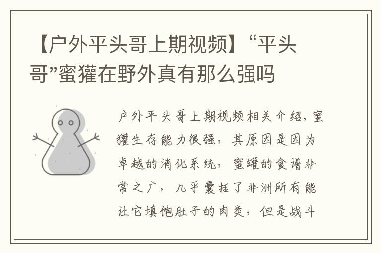 【户外平头哥上期视频】“平头哥"蜜獾在野外真有那么强吗？真相在这里-户外动物知识