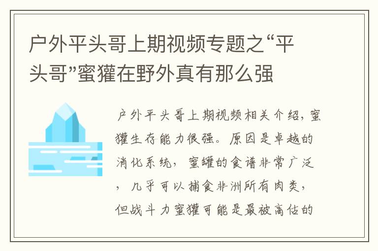 户外平头哥上期视频专题之“平头哥"蜜獾在野外真有那么强吗？真相在这里-户外动物知识