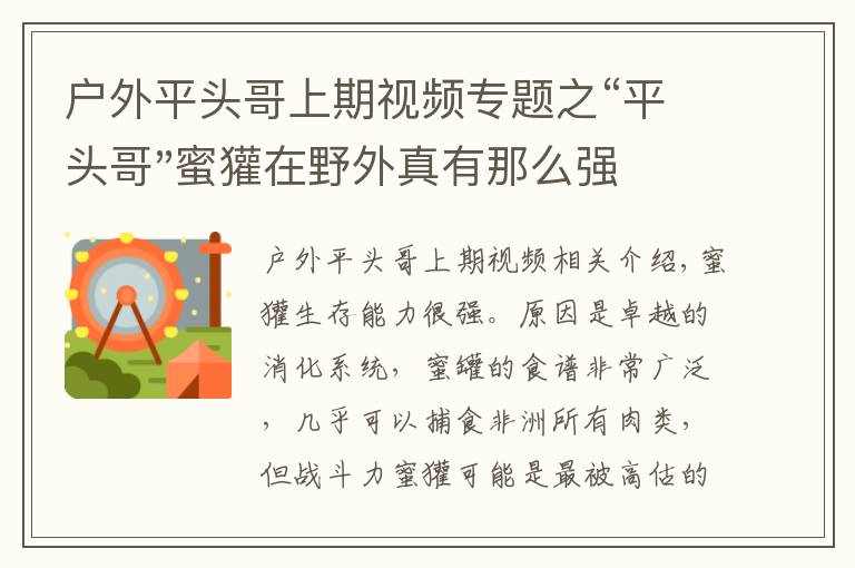 户外平头哥上期视频专题之“平头哥"蜜獾在野外真有那么强吗？真相在这里-户外动物知识