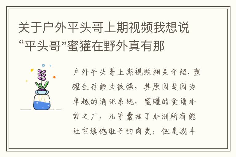 关于户外平头哥上期视频我想说“平头哥"蜜獾在野外真有那么强吗？真相在这里-户外动物知识