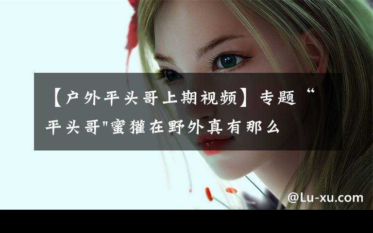 【户外平头哥上期视频】专题“平头哥"蜜獾在野外真有那么强吗？真相在这里-户外动物知识