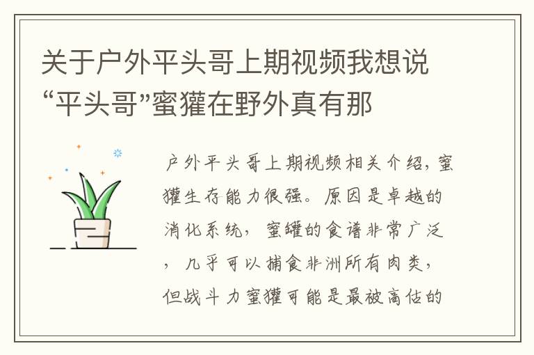 关于户外平头哥上期视频我想说“平头哥"蜜獾在野外真有那么强吗？真相在这里-户外动物知识