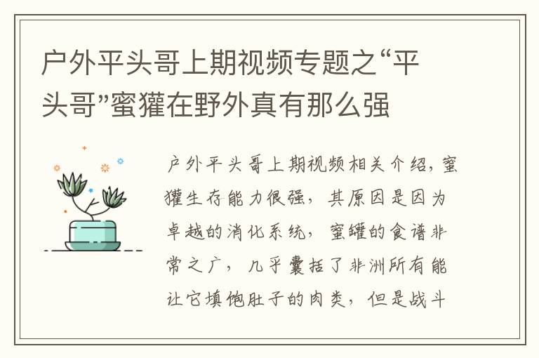 户外平头哥上期视频专题之“平头哥"蜜獾在野外真有那么强吗？真相在这里-户外动物知识