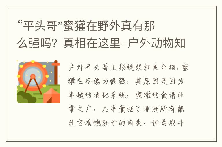 “平头哥"蜜獾在野外真有那么强吗？真相在这里-户外动物知识