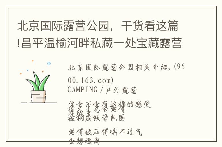 北京国际露营公园，干货看这篇!昌平温榆河畔私藏一处宝藏露营地！扎帐篷、户外赛、采摘，超多游乐活动等你来