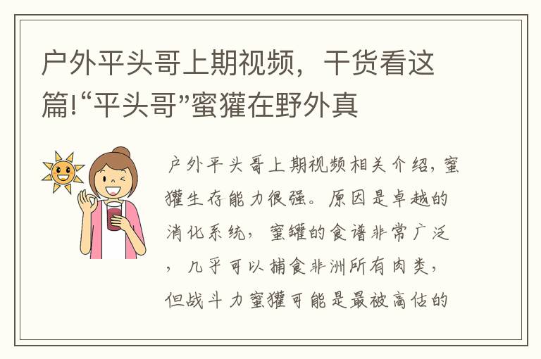 户外平头哥上期视频，干货看这篇!“平头哥"蜜獾在野外真有那么强吗？真相在这里-户外动物知识