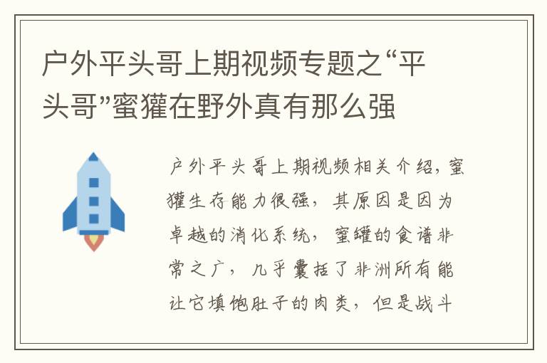 户外平头哥上期视频专题之“平头哥"蜜獾在野外真有那么强吗？真相在这里-户外动物知识