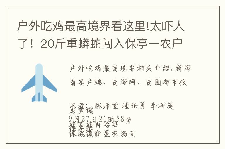 户外吃鸡最高境界看这里!太吓人了！20斤重蟒蛇闯入保亭一农户家“吃鸡”