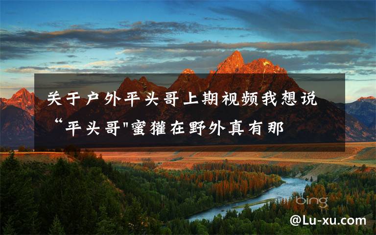 关于户外平头哥上期视频我想说“平头哥"蜜獾在野外真有那么强吗？真相在这里-户外动物知识