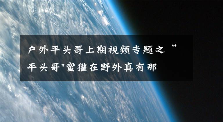 户外平头哥上期视频专题之“平头哥"蜜獾在野外真有那么强吗？真相在这里-户外动物知识
