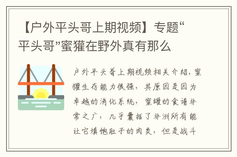 【户外平头哥上期视频】专题“平头哥"蜜獾在野外真有那么强吗？真相在这里-户外动物知识