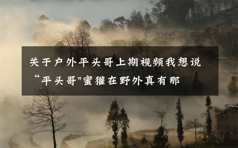 关于户外平头哥上期视频我想说“平头哥"蜜獾在野外真有那么强吗？真相在这里-户外动物知识