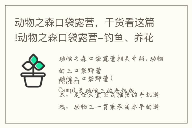 动物之森口袋露营，干货看这篇!动物之森口袋露营-钓鱼、养花、种植植物，制作自己的别墅花园！