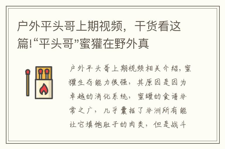 户外平头哥上期视频，干货看这篇!“平头哥"蜜獾在野外真有那么强吗？真相在这里-户外动物知识