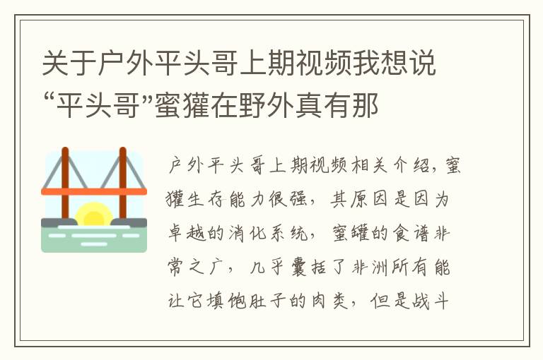 关于户外平头哥上期视频我想说“平头哥"蜜獾在野外真有那么强吗？真相在这里-户外动物知识