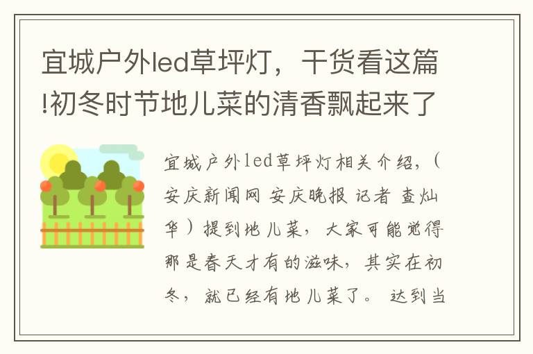 宜城户外led草坪灯，干货看这篇!初冬时节地儿菜的清香飘起来了