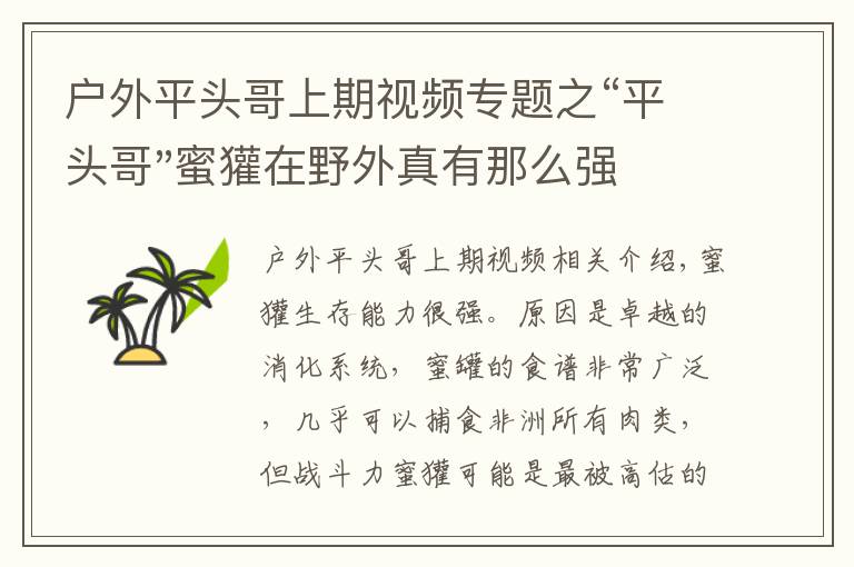 户外平头哥上期视频专题之“平头哥"蜜獾在野外真有那么强吗？真相在这里-户外动物知识