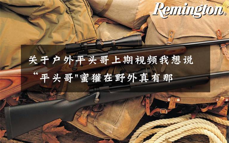 关于户外平头哥上期视频我想说“平头哥"蜜獾在野外真有那么强吗？真相在这里-户外动物知识