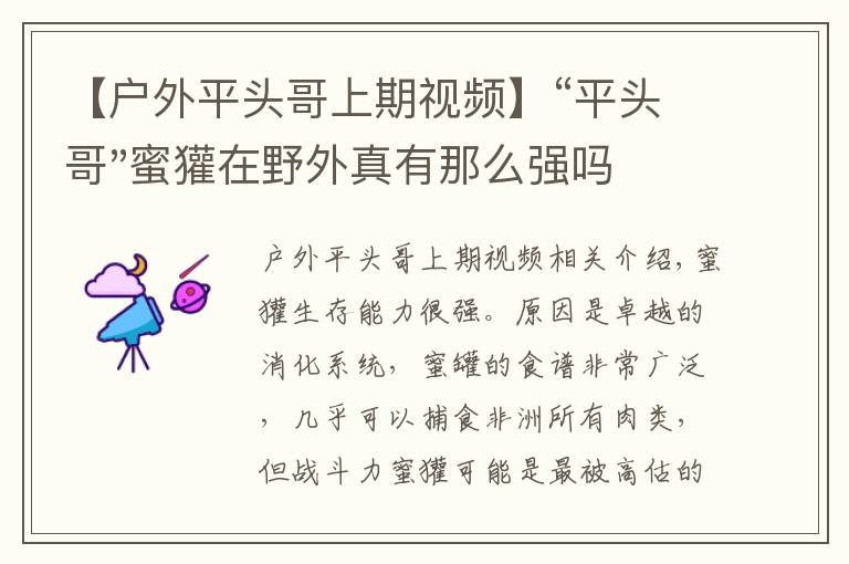 【户外平头哥上期视频】“平头哥"蜜獾在野外真有那么强吗？真相在这里-户外动物知识