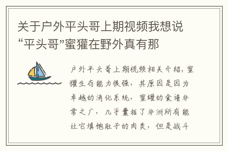 关于户外平头哥上期视频我想说“平头哥"蜜獾在野外真有那么强吗？真相在这里-户外动物知识