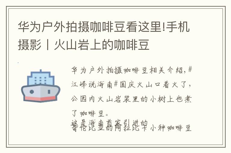 华为户外拍摄咖啡豆看这里!手机摄影丨火山岩上的咖啡豆