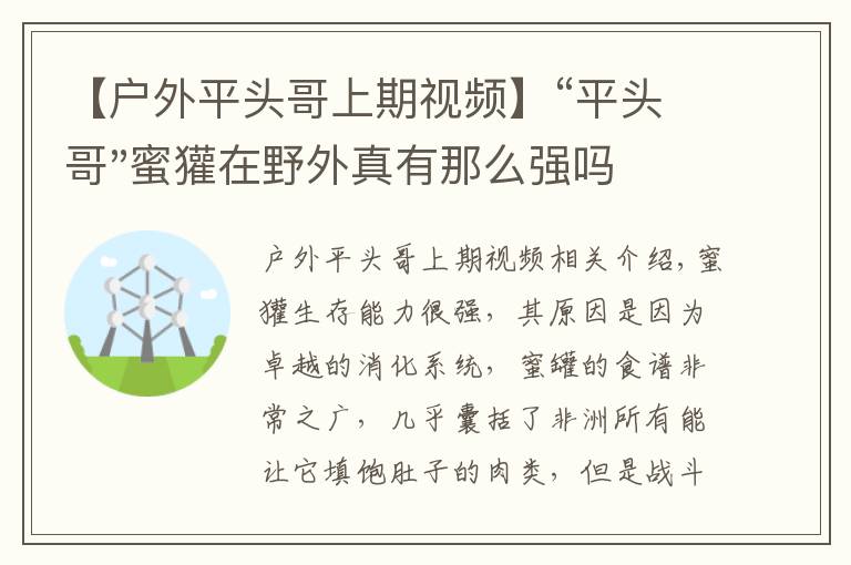 【户外平头哥上期视频】“平头哥"蜜獾在野外真有那么强吗？真相在这里-户外动物知识
