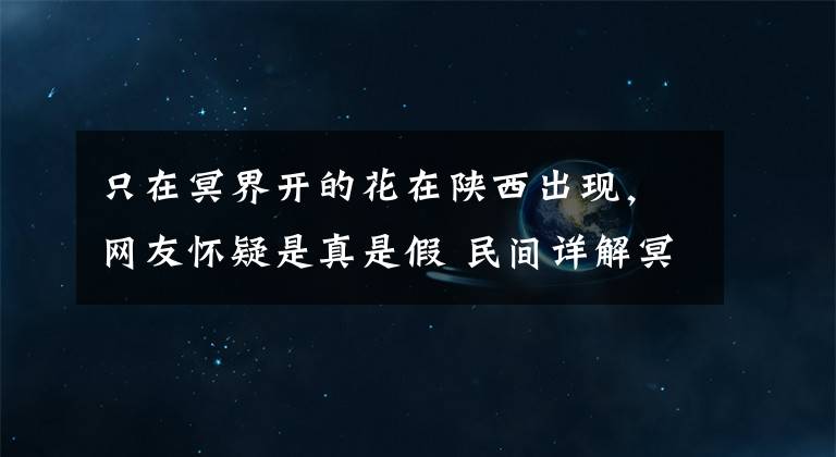 只在冥界开的花在陕西出现，网友怀疑是真是假 民间详解冥界之花出现说明什么