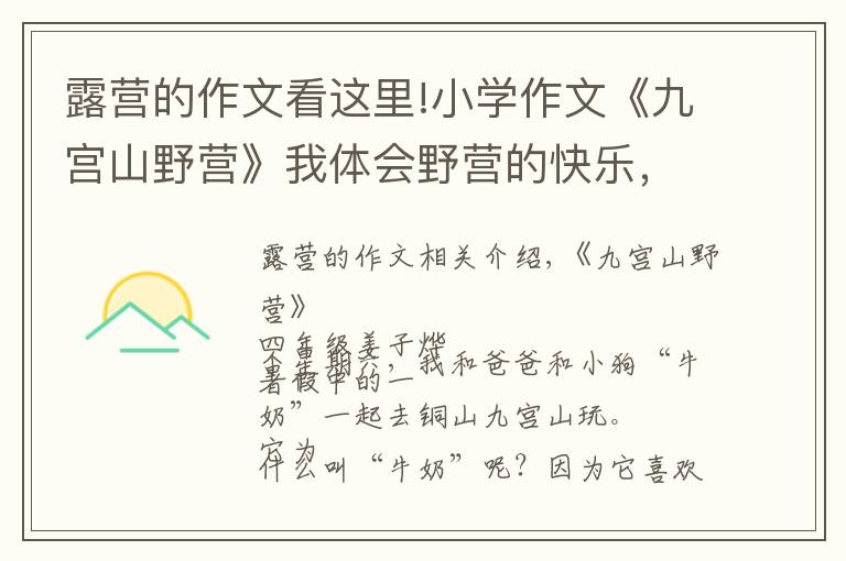 露营的作文看这里!小学作文《九宫山野营》我体会野营的快乐，还知道怎样帮助小动物