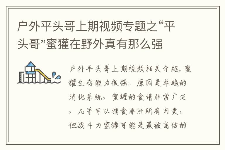 户外平头哥上期视频专题之“平头哥"蜜獾在野外真有那么强吗？真相在这里-户外动物知识