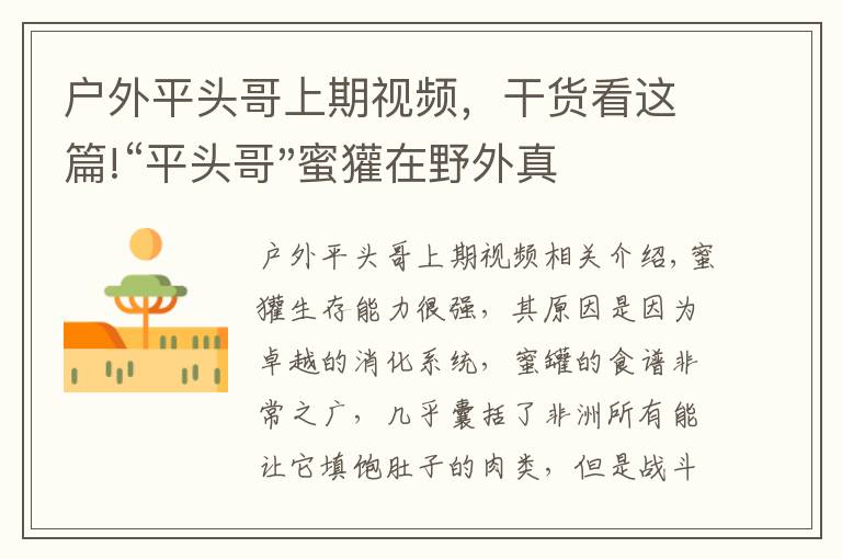 户外平头哥上期视频，干货看这篇!“平头哥"蜜獾在野外真有那么强吗？真相在这里-户外动物知识