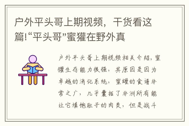 户外平头哥上期视频，干货看这篇!“平头哥"蜜獾在野外真有那么强吗？真相在这里-户外动物知识
