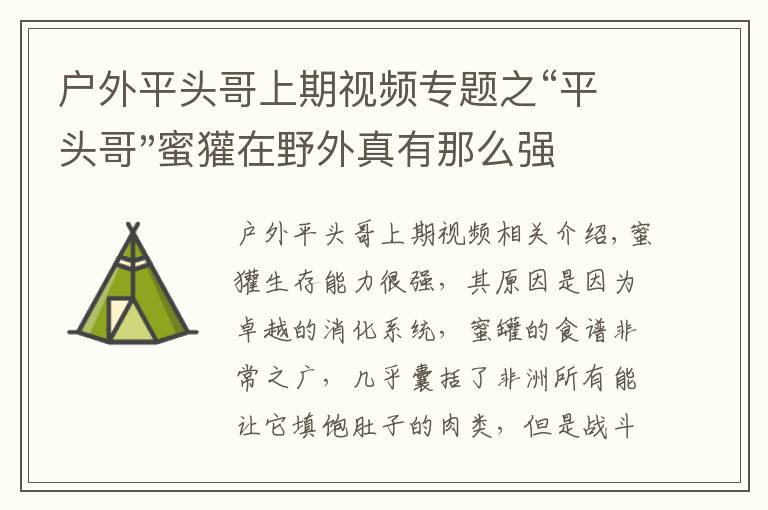 户外平头哥上期视频专题之“平头哥"蜜獾在野外真有那么强吗？真相在这里-户外动物知识