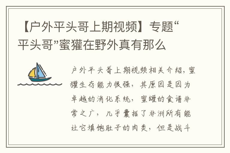 【户外平头哥上期视频】专题“平头哥"蜜獾在野外真有那么强吗？真相在这里-户外动物知识