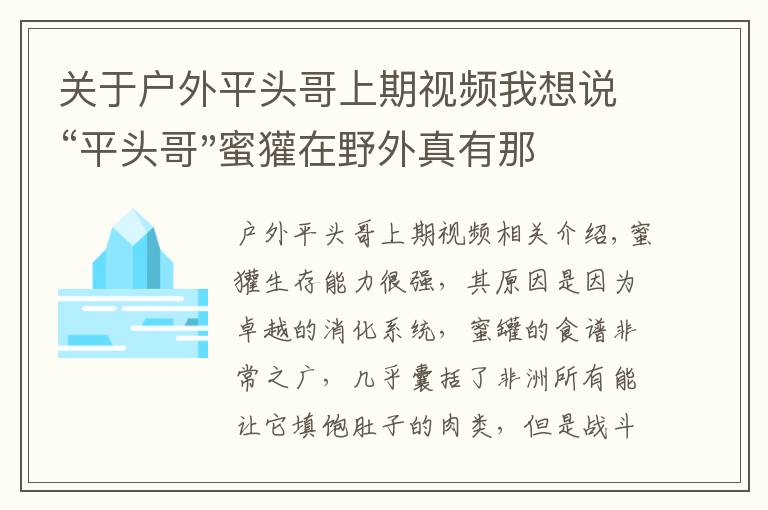 关于户外平头哥上期视频我想说“平头哥"蜜獾在野外真有那么强吗？真相在这里-户外动物知识